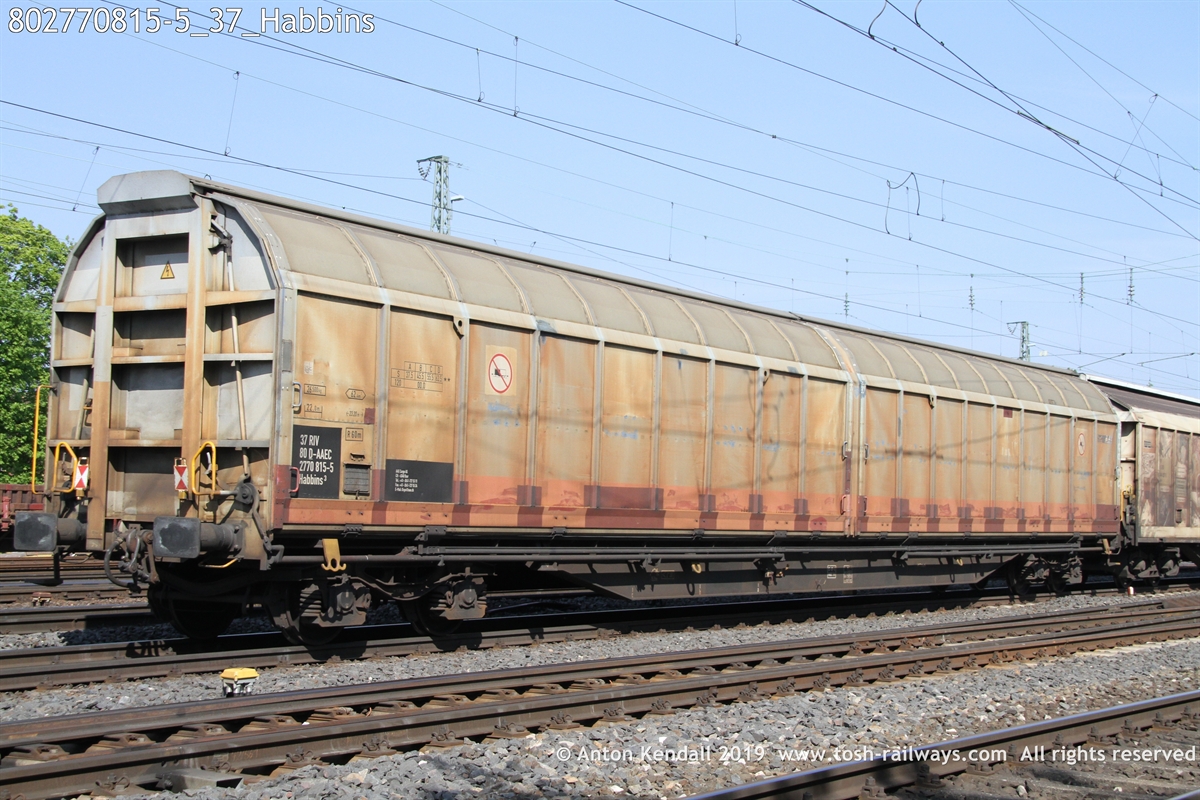 802770815-5_37_Habbins.JPG